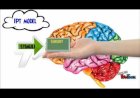 Information Processing In Cognitive Psychology