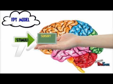 Information Processing In Cognitive Psychology